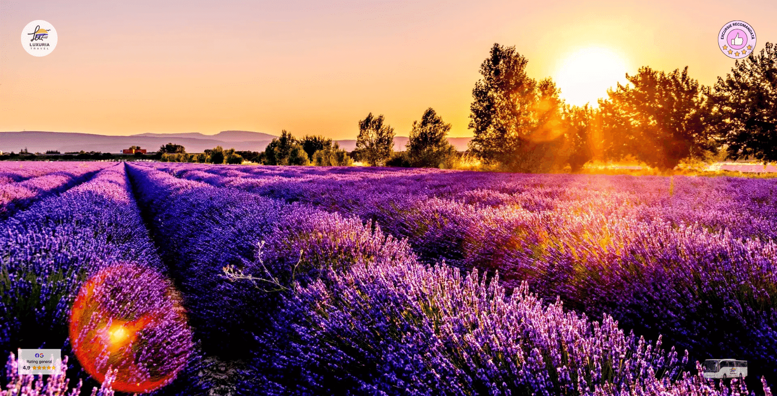 Excursie 1 zi Lavanda Prahoveana si Picnic la Barajul Paltinu